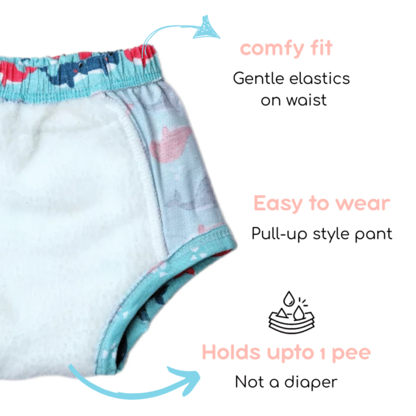 Pack of 1 - Padded Underwear | Reusable Cloth Diapers for babies Potty Training Pants | No Print Choice - Image 3