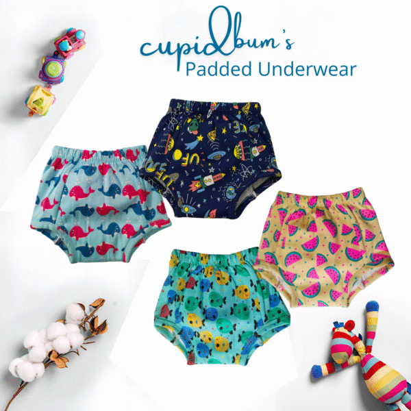 Pack of 4 - Padded Underwear | Reusable Cloth Diapers for babies Potty Training Pants | Mixed Colours