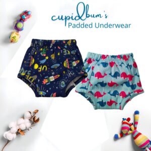 Pack of 2 - Padded Underwear | Reusable Cloth Diapers for babies Potty Training Pants | Mixed Colours